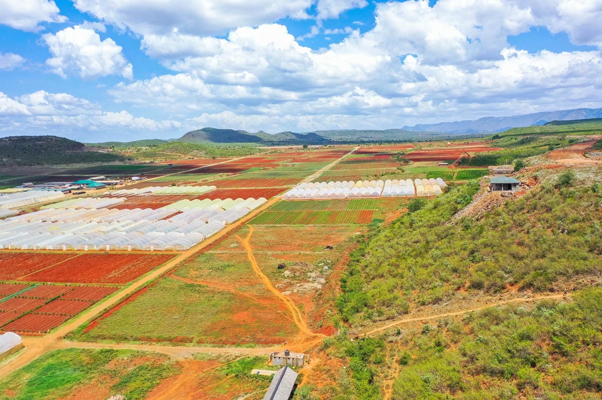 Personalised property consultation at Great Rift Valley Retreat